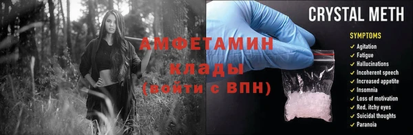 прущие грибы Богородицк