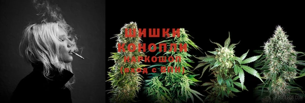 прущие грибы Богородицк