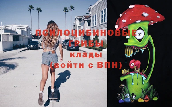 прущие грибы Богородицк