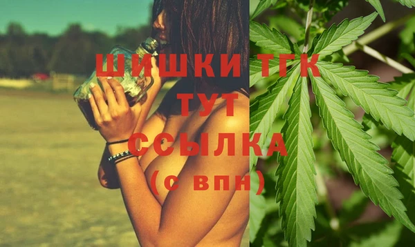 прущие грибы Богородицк