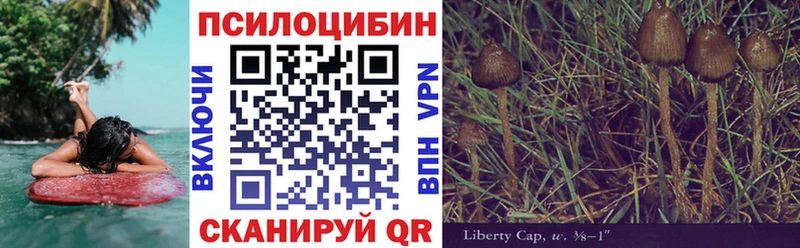 Псилоцибиновые грибы ЛСД  мега tor  Ростов-на-Дону  где купить наркотик 